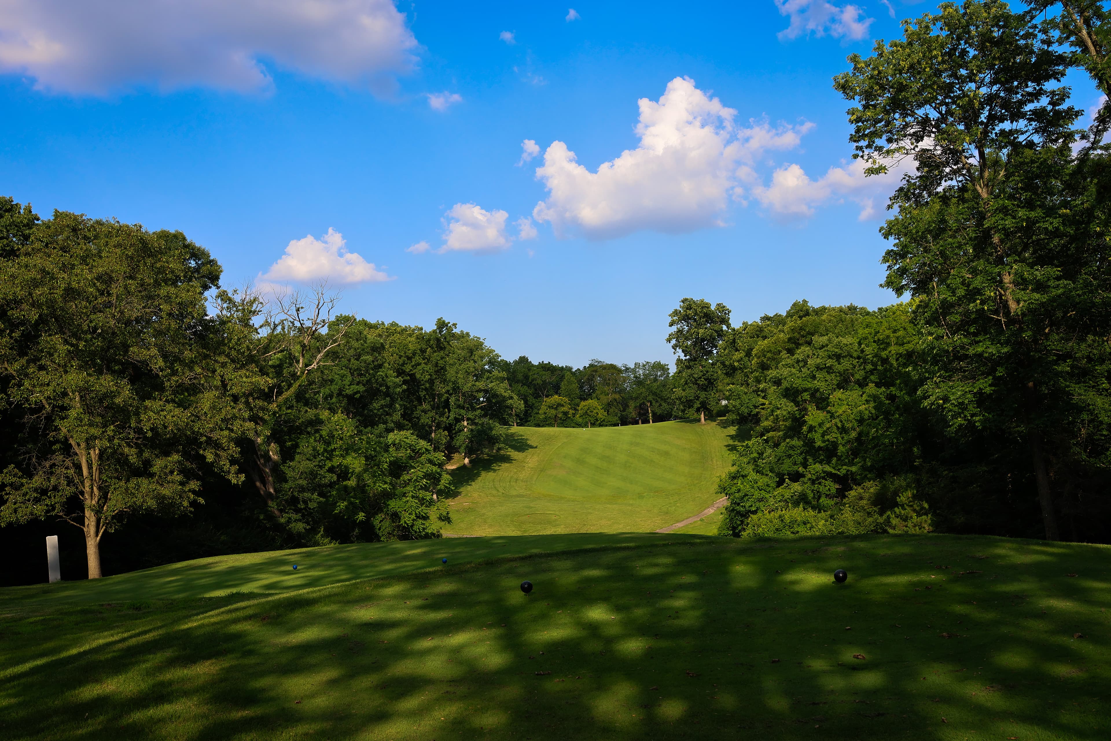 Tee box perspective down a tree-lined hole